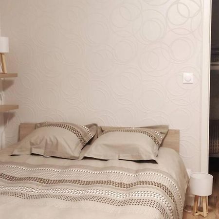 Le Cygne, Appartement De Standing En Hyper-Centre Sarreguemines Luaran gambar