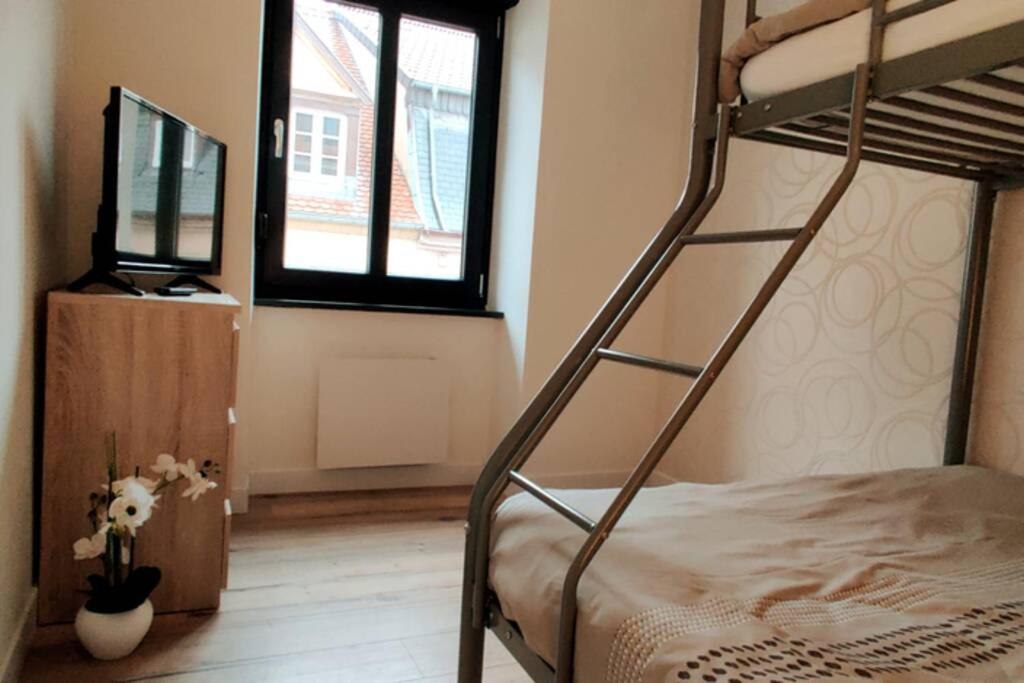 Le Cygne, Appartement De Standing En Hyper-Centre Sarreguemines Luaran gambar