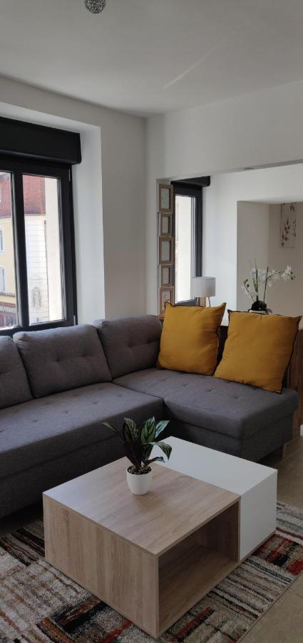 Le Cygne, Appartement De Standing En Hyper-Centre Sarreguemines Luaran gambar