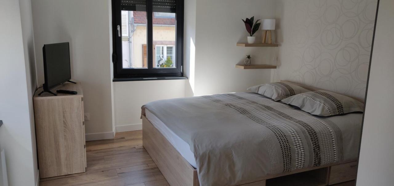 Le Cygne, Appartement De Standing En Hyper-Centre Sarreguemines Luaran gambar