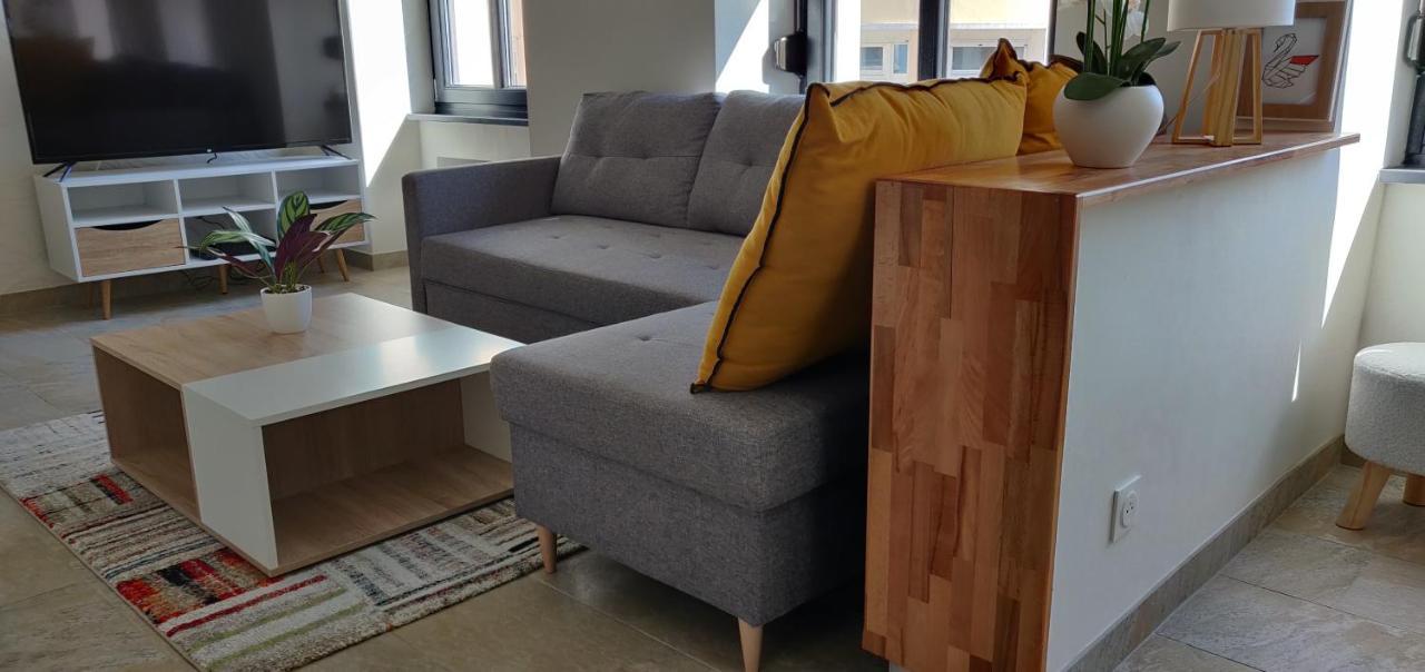 Le Cygne, Appartement De Standing En Hyper-Centre Sarreguemines Luaran gambar