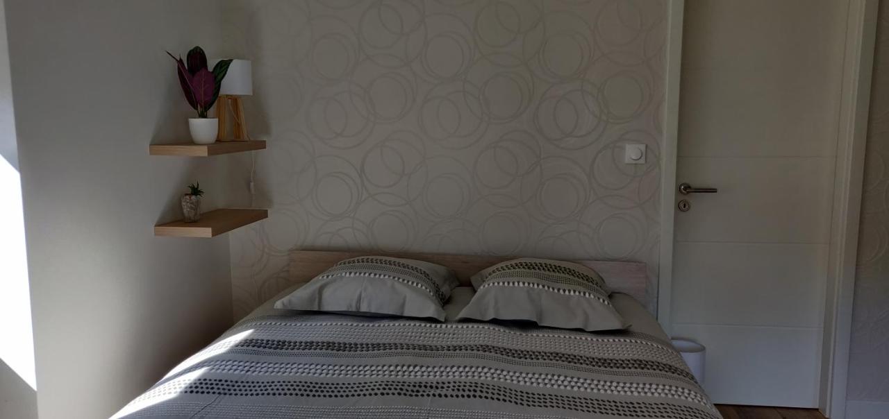 Le Cygne, Appartement De Standing En Hyper-Centre Sarreguemines Luaran gambar