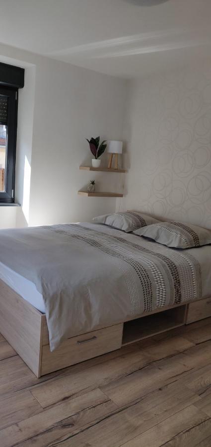Le Cygne, Appartement De Standing En Hyper-Centre Sarreguemines Luaran gambar